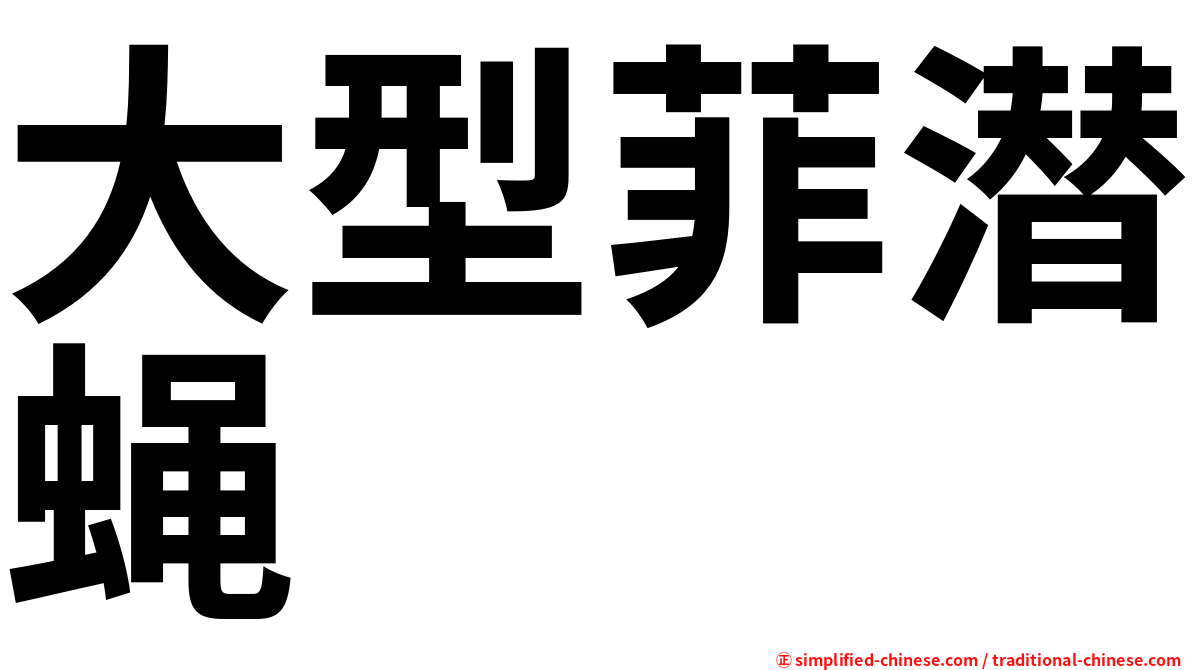 大型菲潜蝇