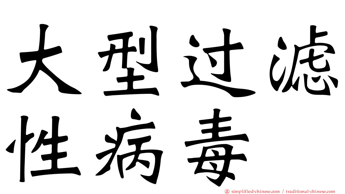 大型过滤性病毒