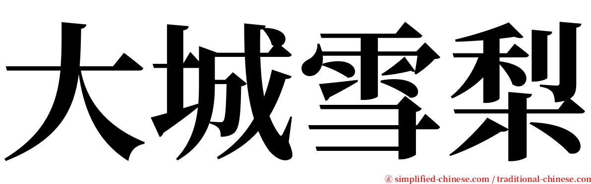 大城雪梨 serif font
