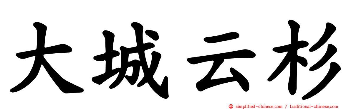大城云杉