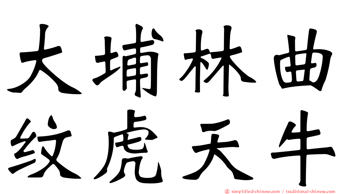大埔林曲纹虎天牛