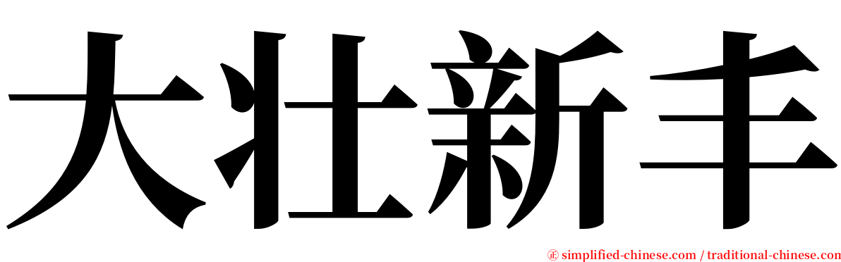 大壮新丰 serif font