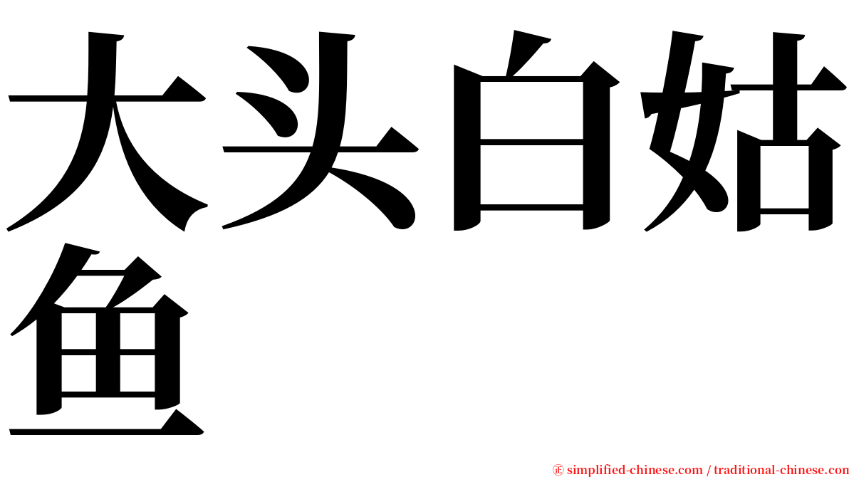 大头白姑鱼 serif font