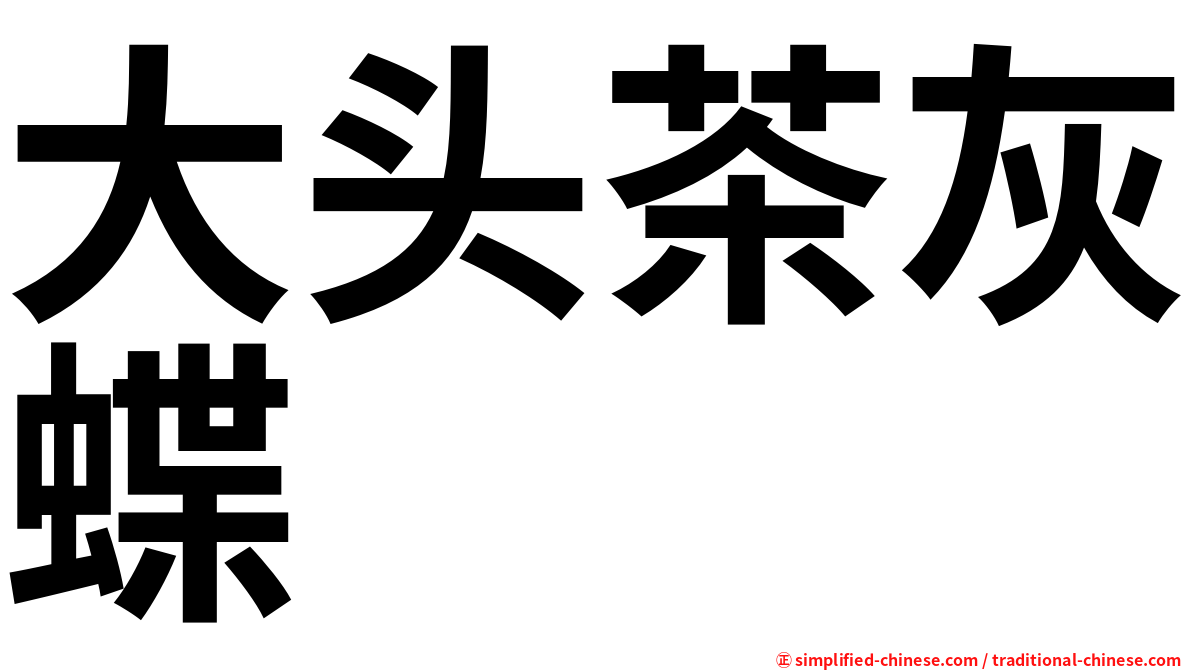 大头茶灰蝶