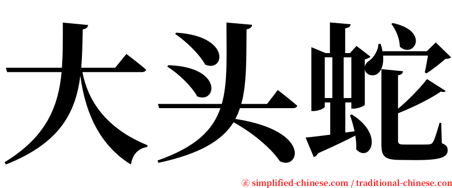 大头蛇 serif font