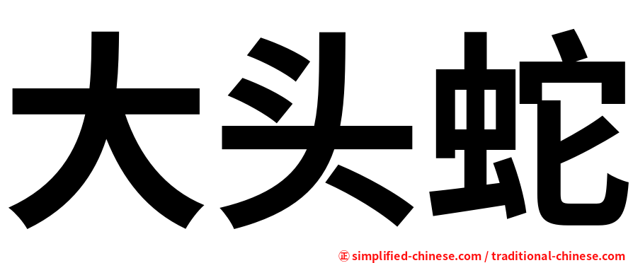 大头蛇
