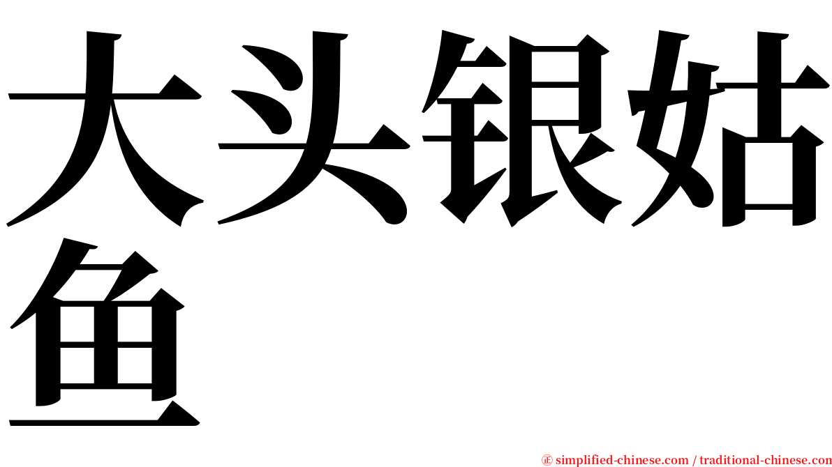 大头银姑鱼 serif font