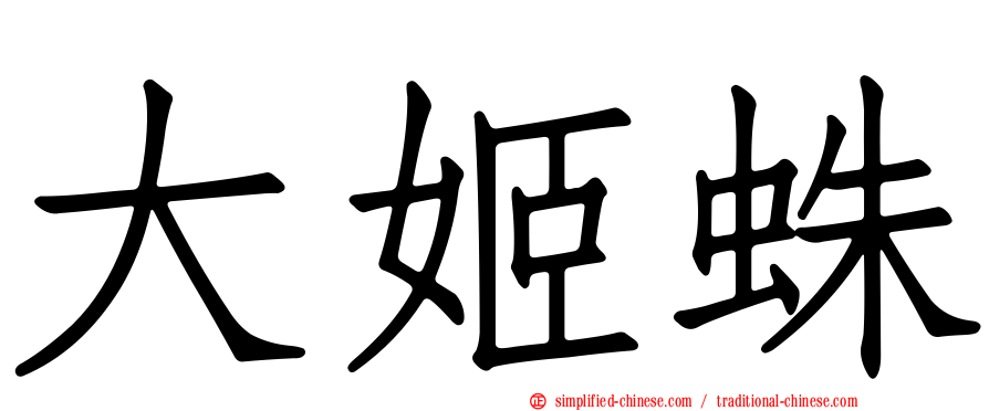 大姬蛛
