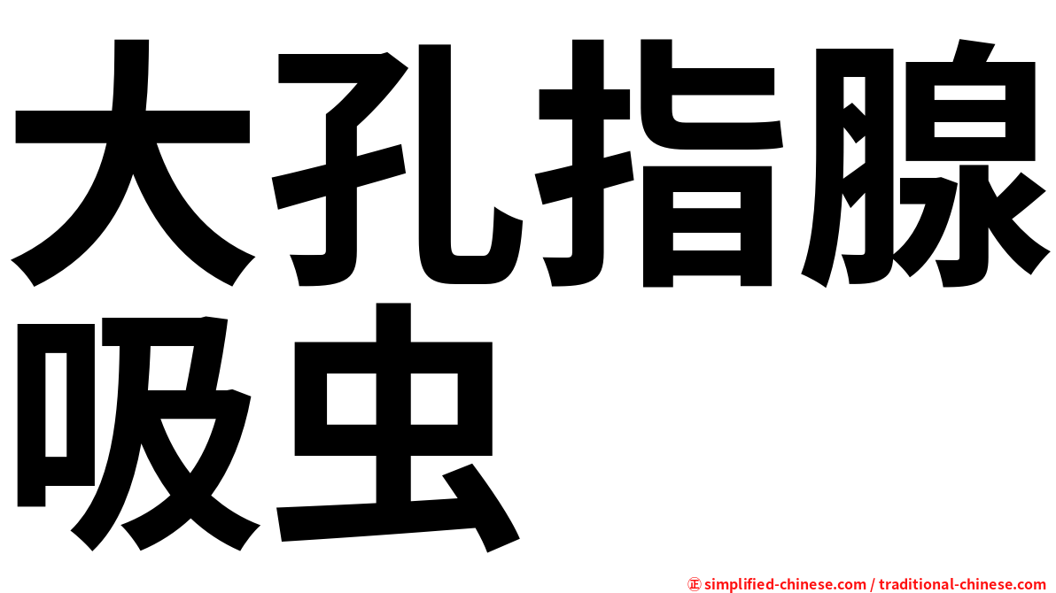大孔指腺吸虫
