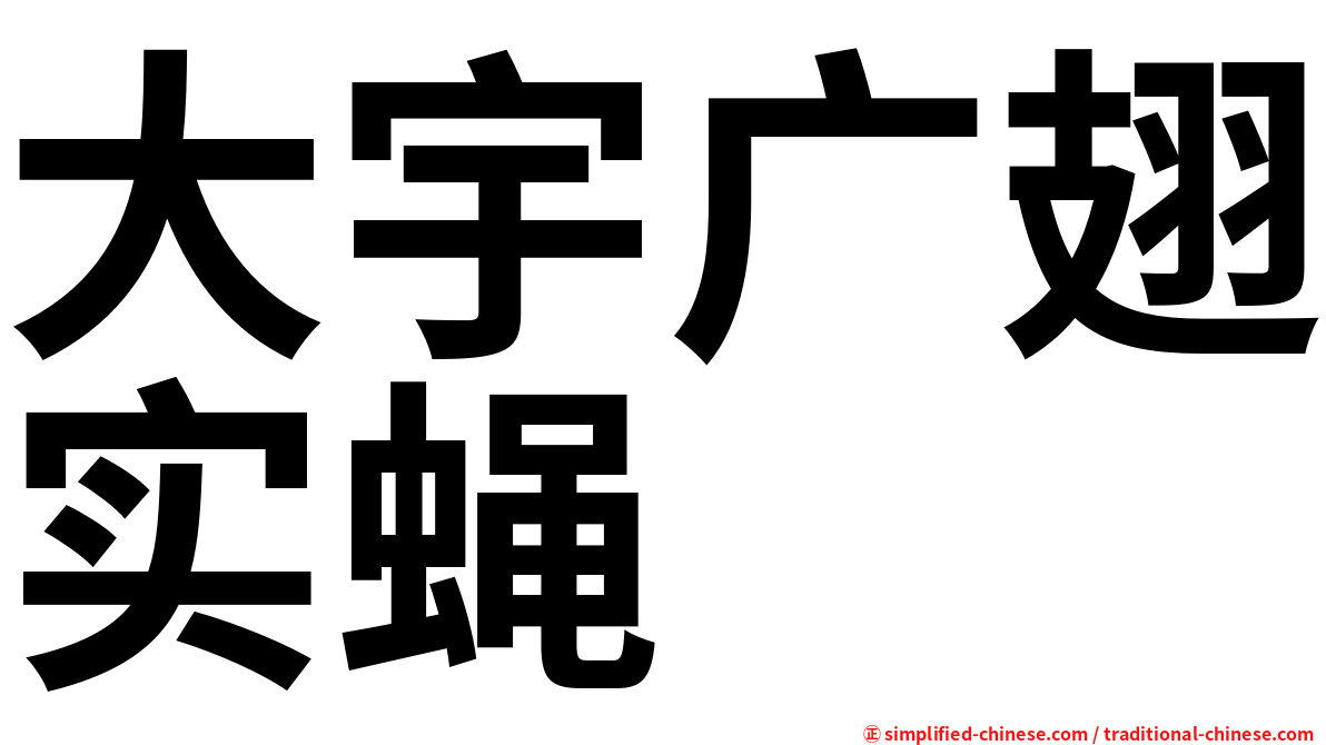 大宇广翅实蝇