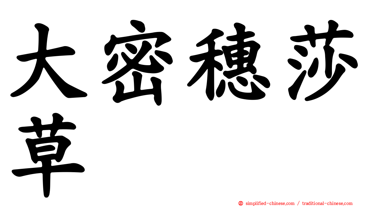 大密穗莎草