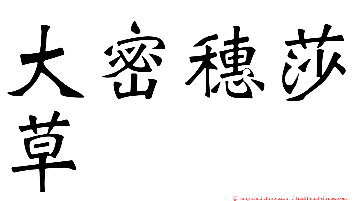 大密穗莎草