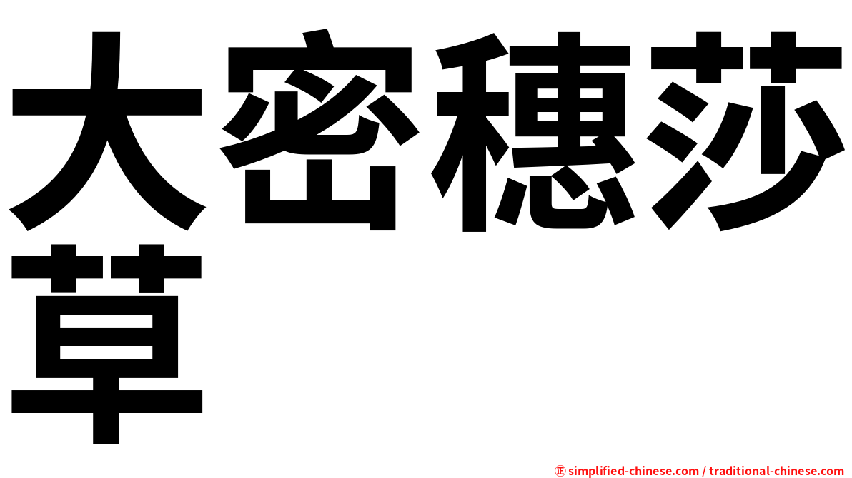 大密穗莎草