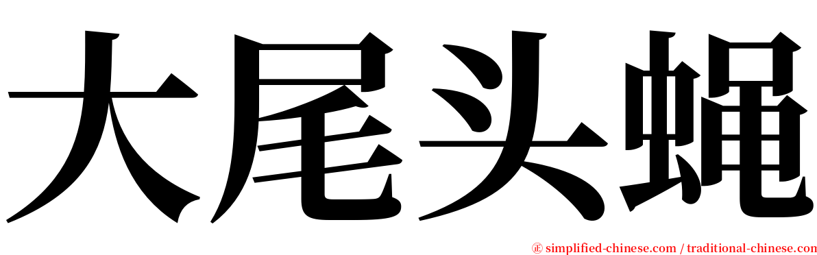 大尾头蝇 serif font
