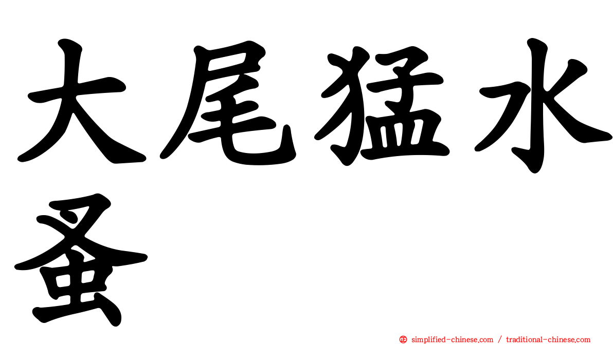 大尾猛水蚤