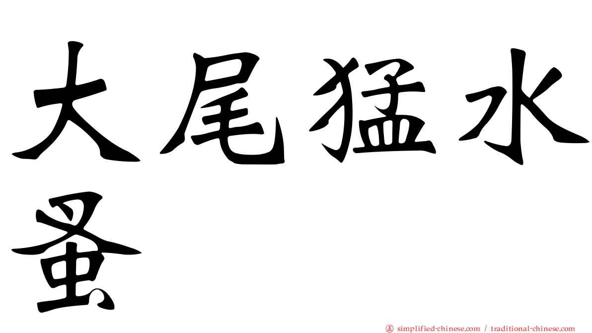 大尾猛水蚤