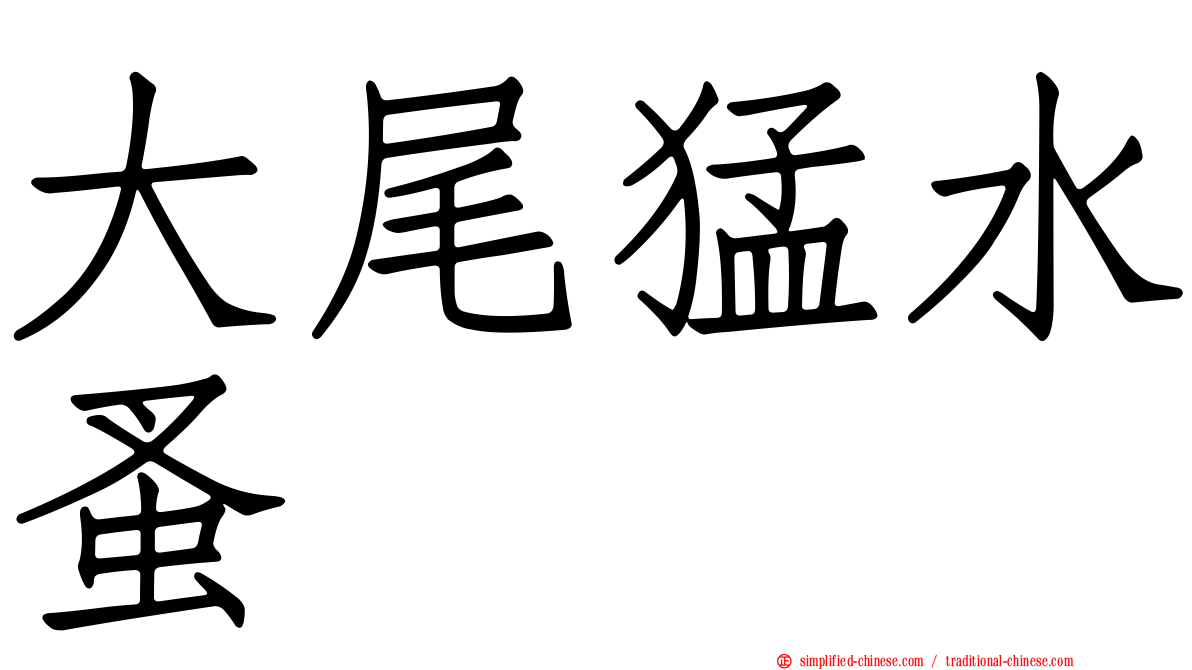 大尾猛水蚤