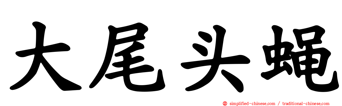 大尾头蝇