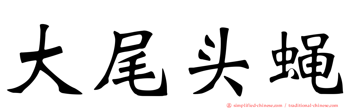 大尾头蝇