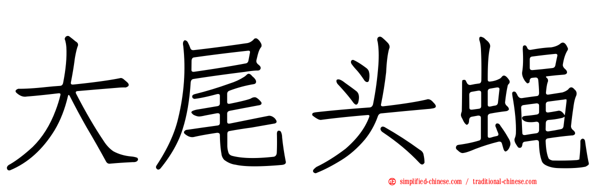 大尾头蝇