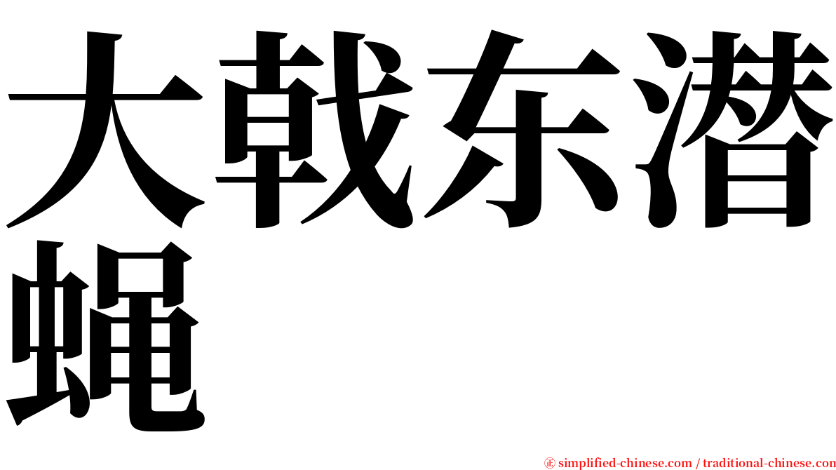 大戟东潜蝇 serif font