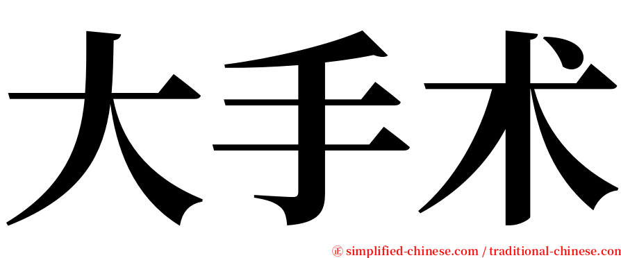 大手术 serif font
