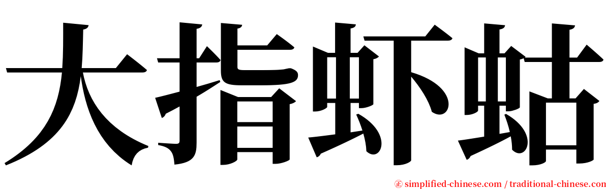 大指虾蛄 serif font
