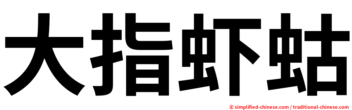 大指虾蛄