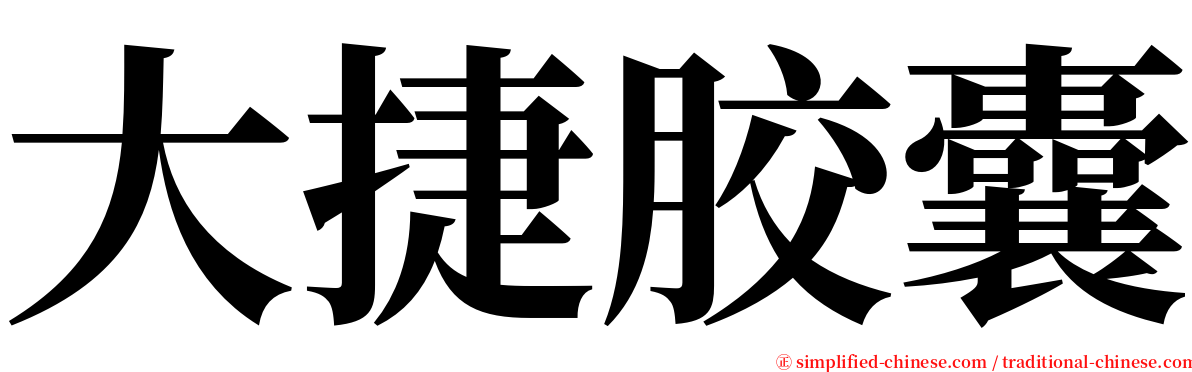 大捷胶囊 serif font