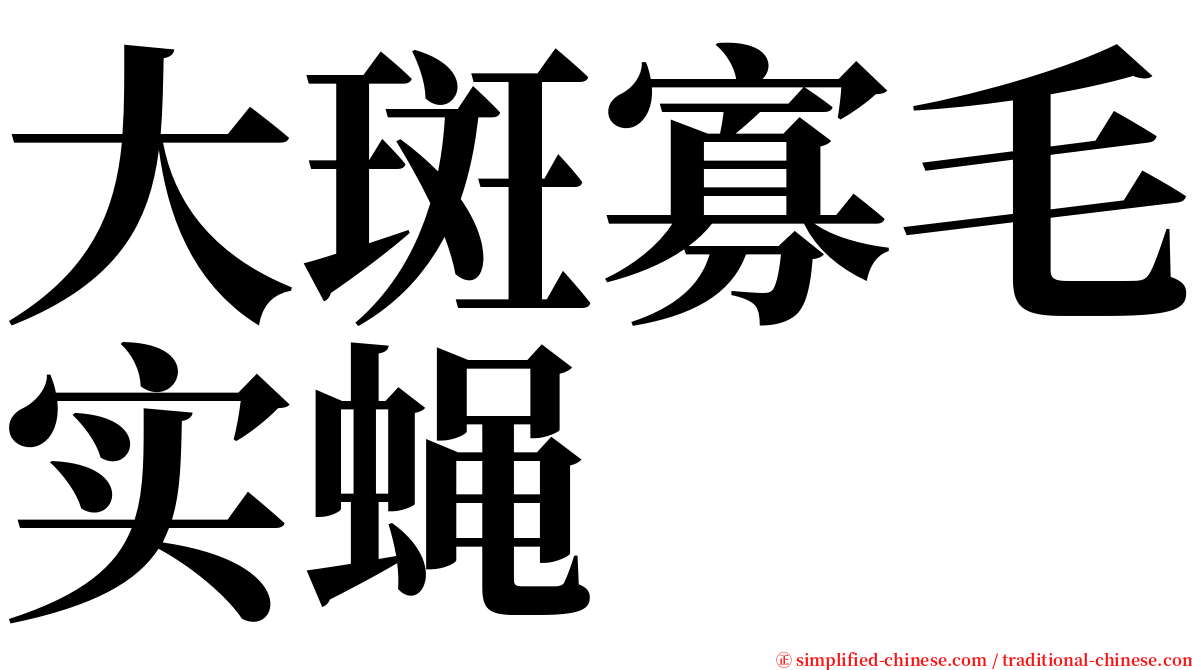 大斑寡毛实蝇 serif font