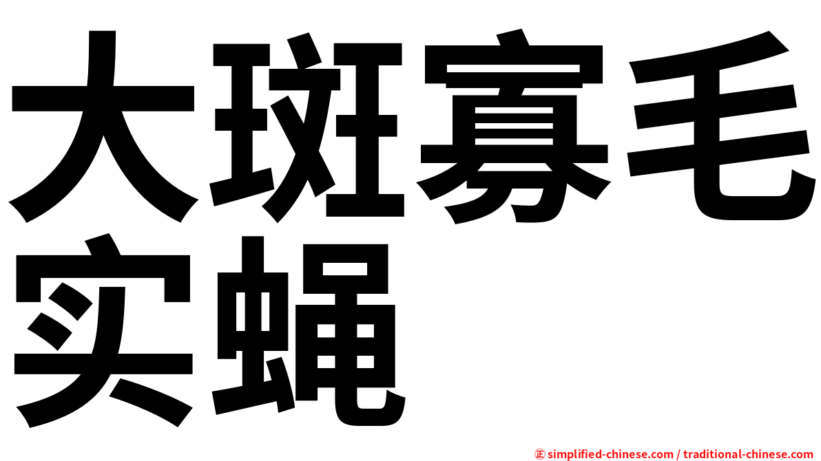 大斑寡毛实蝇