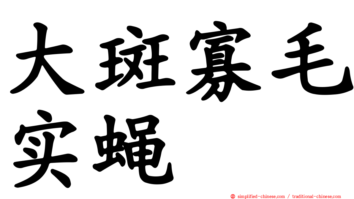 大斑寡毛实蝇