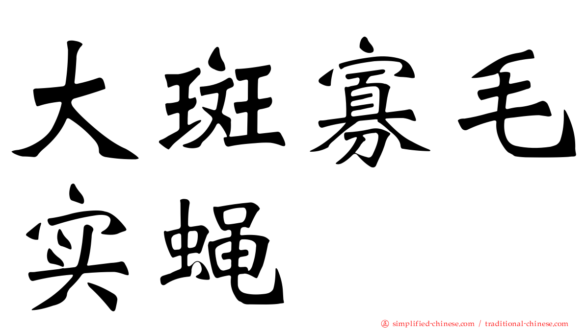 大斑寡毛实蝇