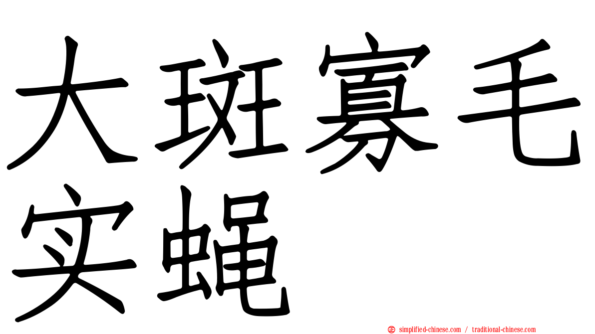 大斑寡毛实蝇