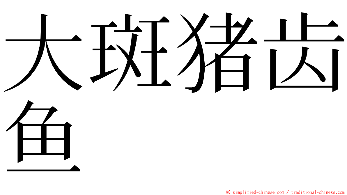 大斑猪齿鱼 ming font