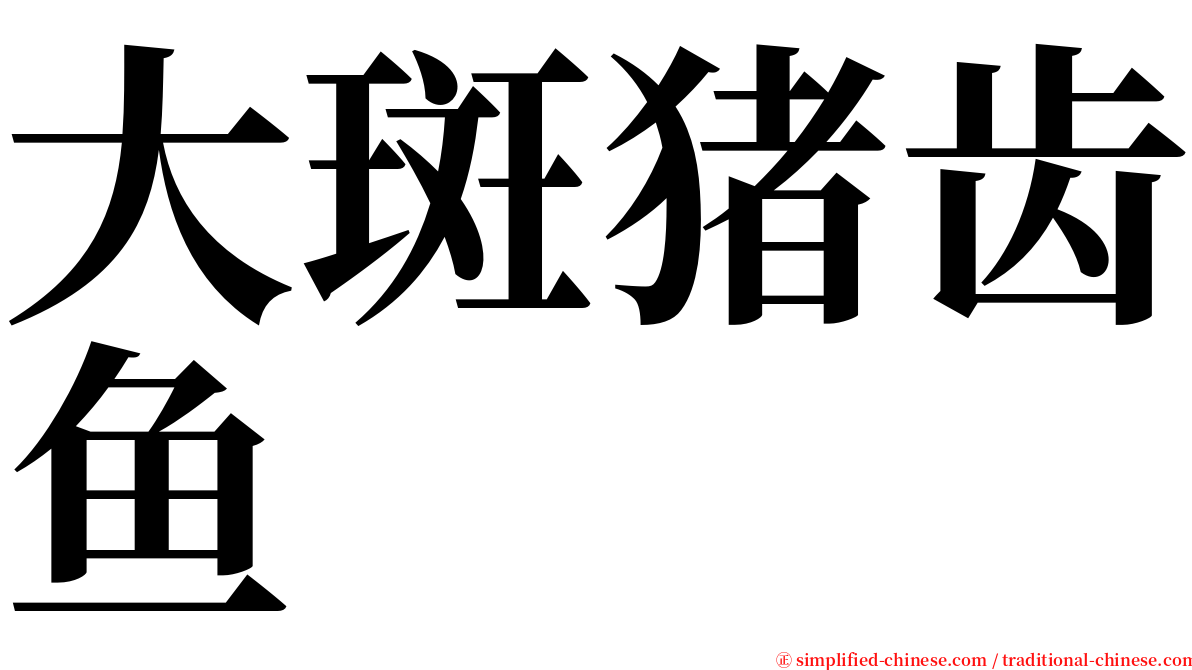 大斑猪齿鱼 serif font