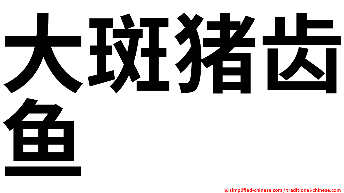 大斑猪齿鱼