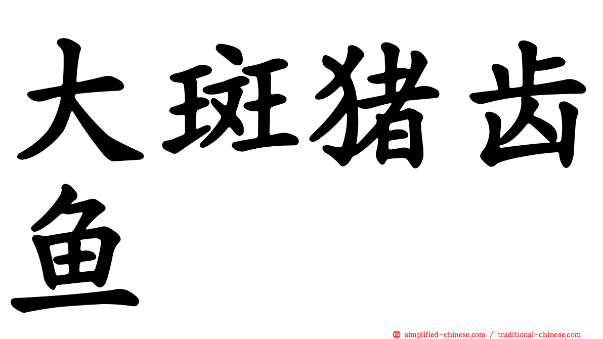 大斑猪齿鱼