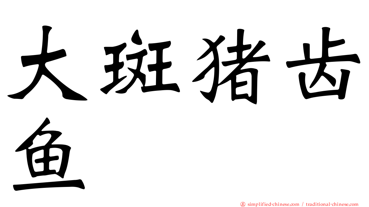 大斑猪齿鱼