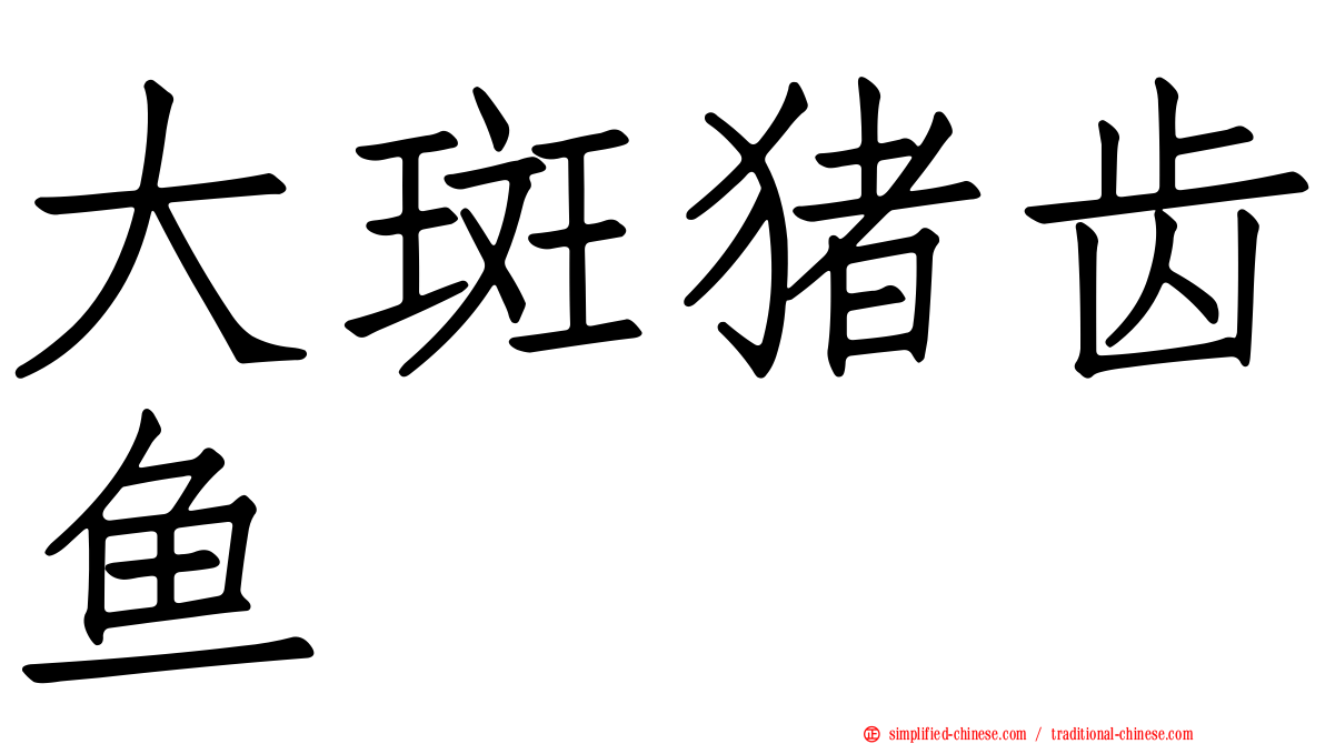 大斑猪齿鱼
