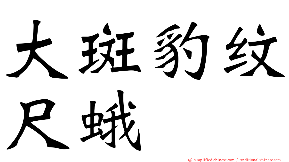 大斑豹纹尺蛾