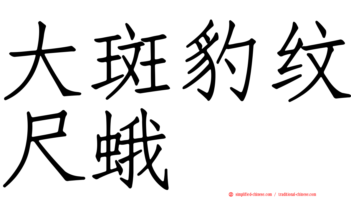 大斑豹纹尺蛾