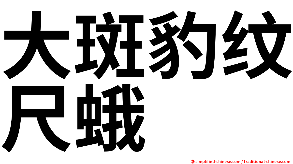 大斑豹纹尺蛾