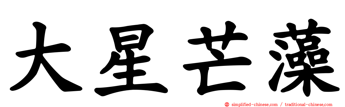 大星芒藻