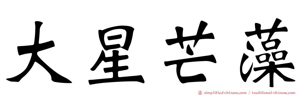 大星芒藻