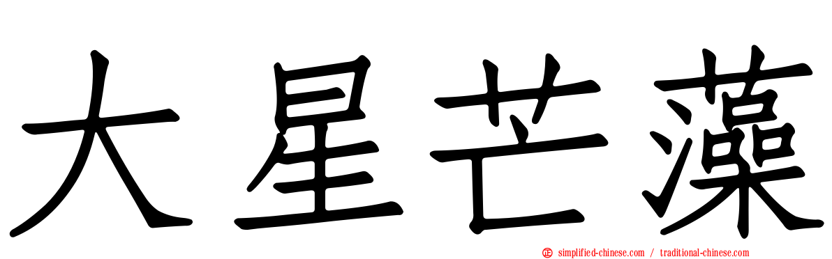 大星芒藻