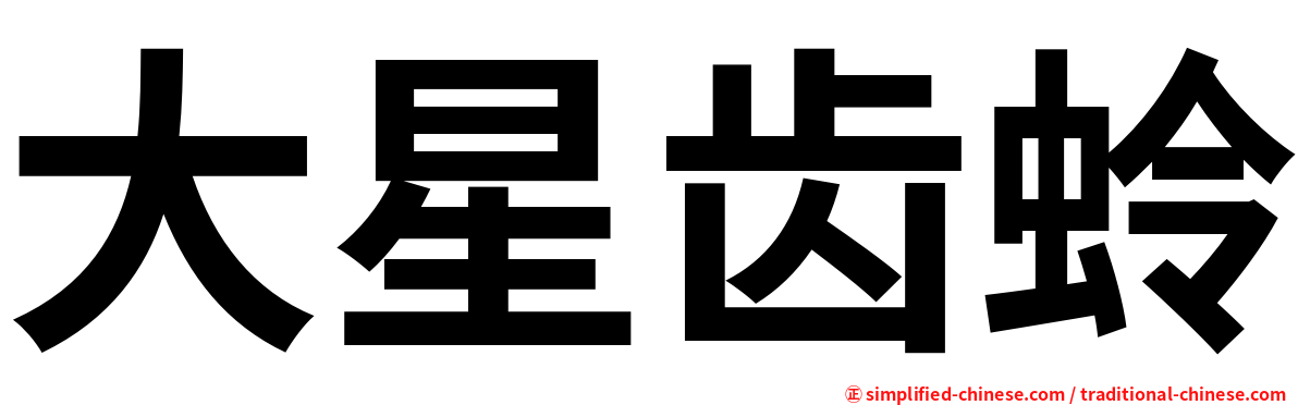 大星齿蛉