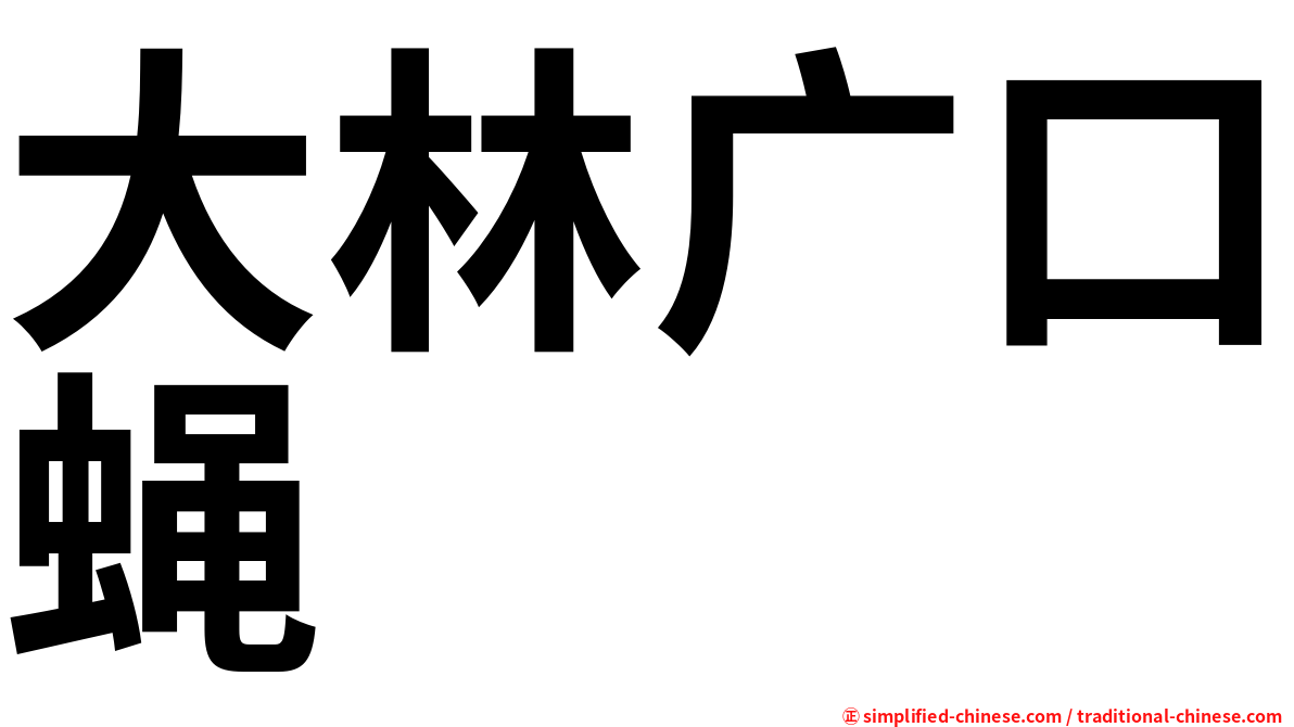 大林广口蝇