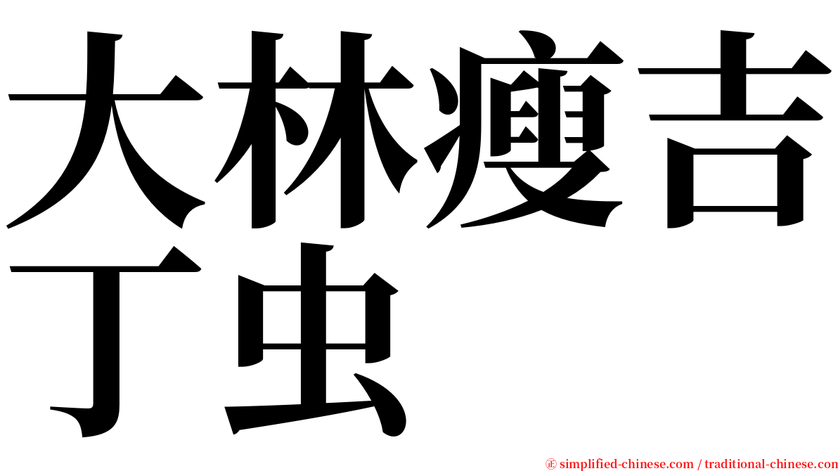 大林瘦吉丁虫 serif font