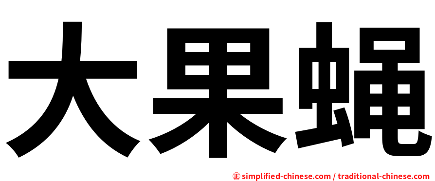 大果蝇